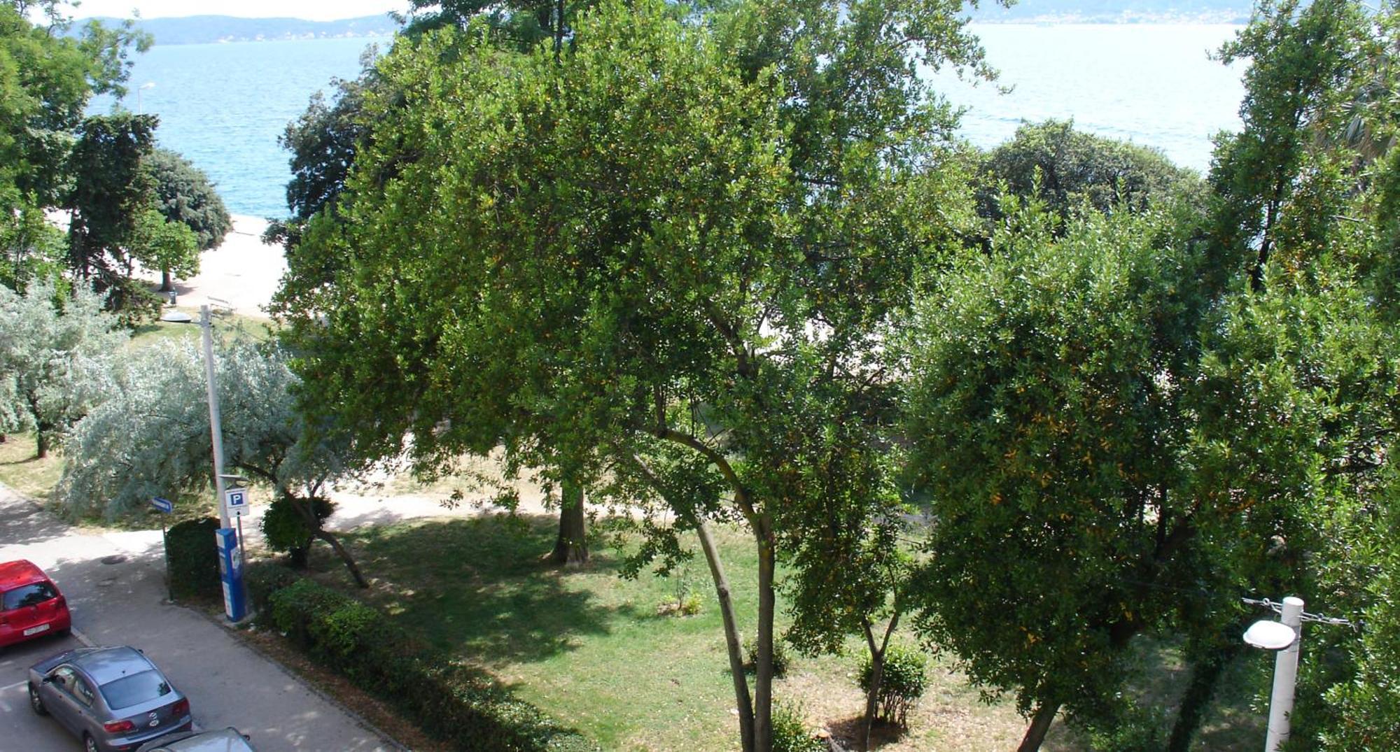 Apartment Jelena Zara Esterno foto